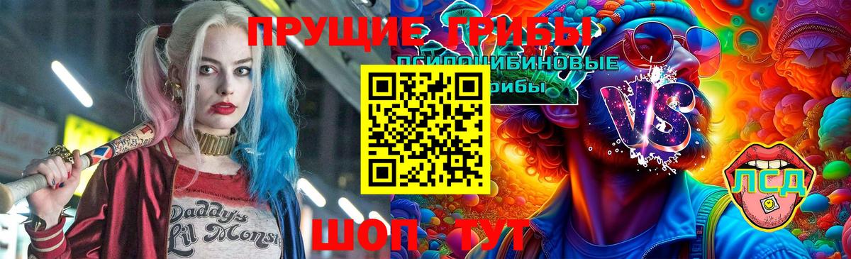 Хасавюрт  Галлюциногенные грибы мицелий  Вход с VPN 