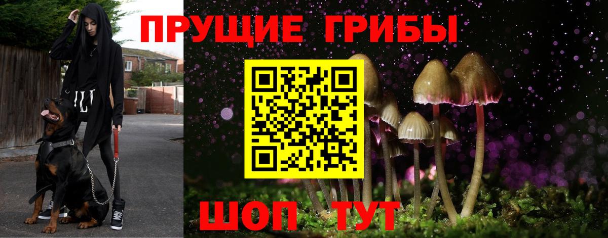 Псилоцибиновые грибы прущие грибы Хасавюрт
