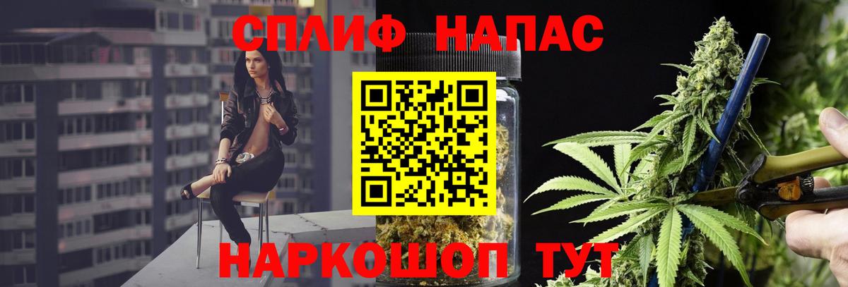 Бошки Шишки сатива Хасавюрт